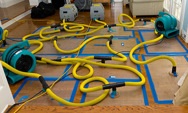 Professional Water Damage Repair technician working in Pitsburg, OH